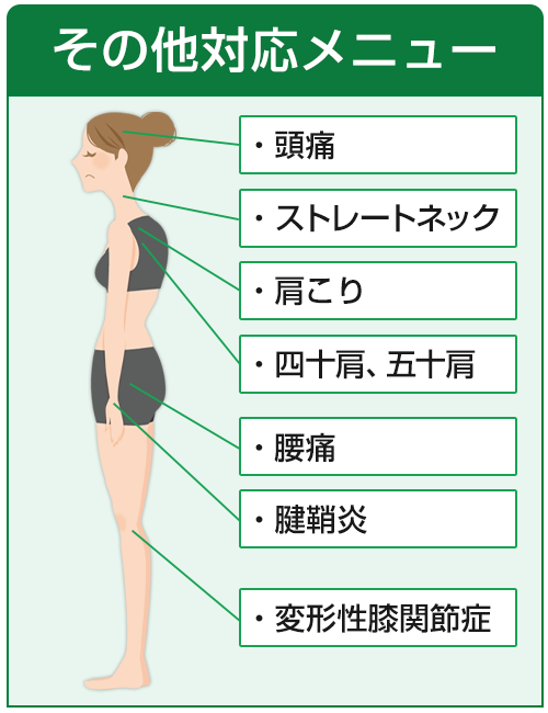 その他対応症状